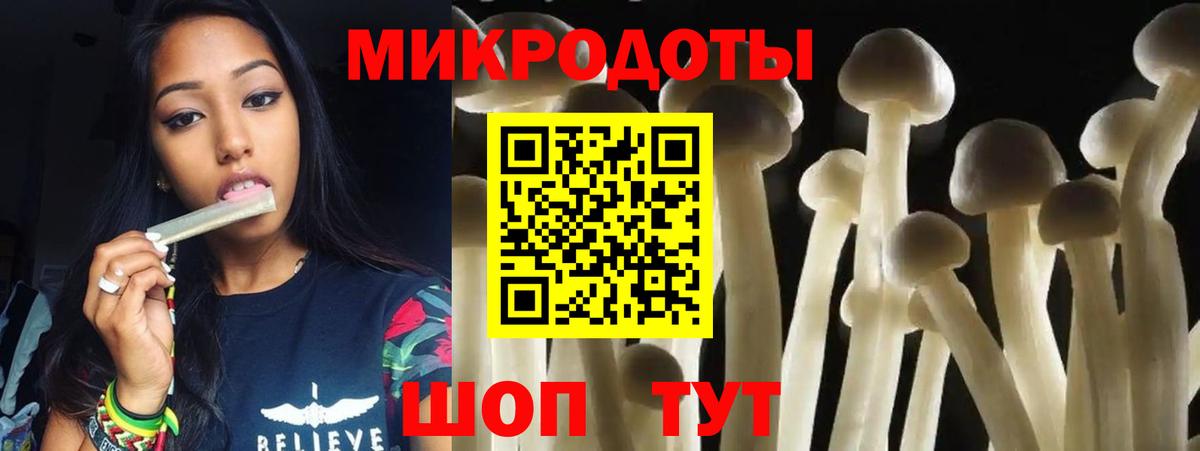 Галлюциногенные грибы Psilocybe  Псилоцибиновые грибы Cubensis  Вход с VPN  Новотроицк 